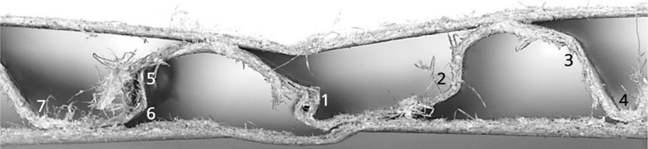 Figure 6: Scoring line